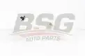 BSG 70550007 Radyatör Yedek Su Deposu