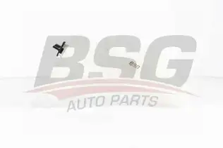 BSG 70550007 Radyatör Yedek Su Deposu