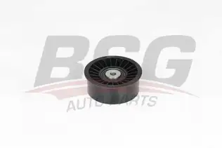 BSG 65615044 Eksantrik Gergi Rulmanı