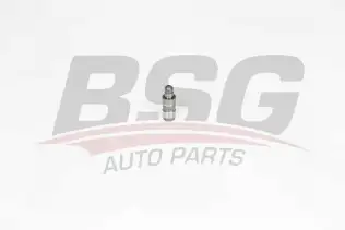 BSG 90122019 Supap Itıcısı