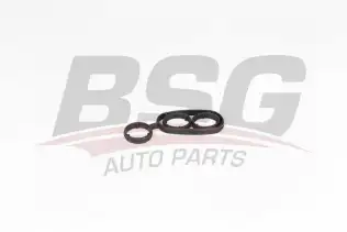 BSG 90116003 Yağ Soğutucu Contası