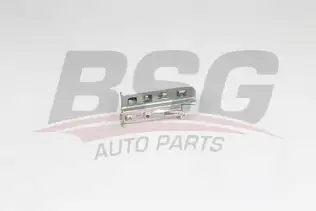 BSG 60975075 Kapı Gergisi Ön