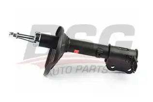 BSG 40300012 Amortisör Arka Sağ