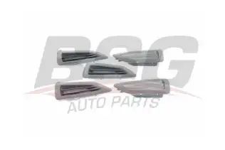 BSG 30922153 Ön Kapı Yan Buz Çözücü Izgara Sol