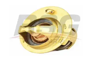BSG 30125018 Termostat