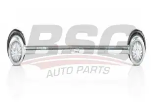 BSG 60310161 Viraj Askı Rotu Ön