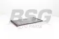 BSG 60145031 Polen Filtresi
