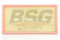 BSG 60135009 Hava Filtresi
