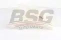 BSG 70550005 Radyatör Yedek Su Deposu