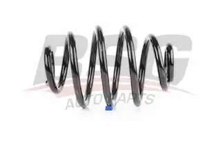BSG 65305009 Helezon Yayı Arka