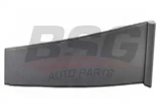 BSG 30925007 Kapı Direk Çıtası Arka Sağ