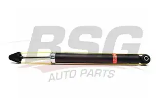 BSG 30300022 Amortisör Arka