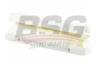 BSG 70145001 Polen Filtresi