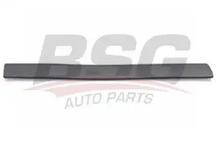 BSG 30924008 Kapı Bandı Arka Sağ