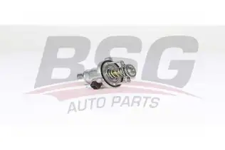 BSG 15125005 Termostat