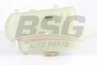 BSG 70550006 Radyatör Yedek Su Deposu