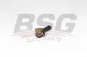 BSG 90125008 Termostat