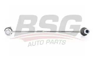 BSG 60310184 Viraj Askı Rotu Ön Sağ