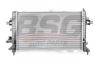 BSG 65520012 Su Radyatörü