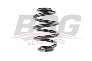 BSG 90305001 Helezon Yayı Arka
