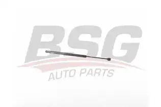 BSG 15980028 Bagaj Amortisörü