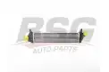 BSG 75535005 Turbo Radyatörü