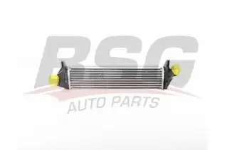 BSG 75535005 Turbo Radyatörü