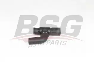 BSG 65700368 Devirdaim Hortumu