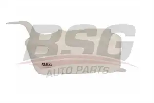 BSG 30550014 Radyatör Yedek Su Deposu