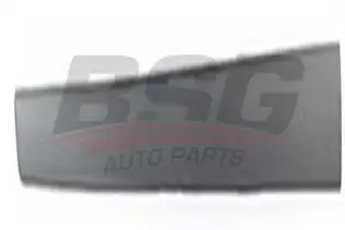 BSG 30924024 Kapı Bandı Ön Sol