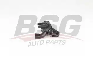 BSG 90126054 Termostat Komple