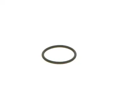 BOSCH 2440210039 Lastik - 16. Görsel