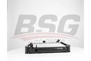 BSG 40520058 Su Radyatörü