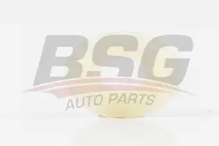 BSG 30995004 Kaput Açma Kolu Klipsi