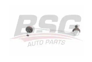 BSG 40310106 Viraj Askı Rotu Ön