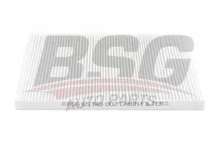 BSG 65145002 Polen Filtresi