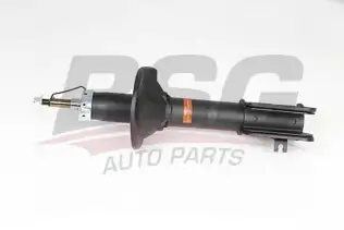 BSG 15300047 Amortisör Arka Sağ