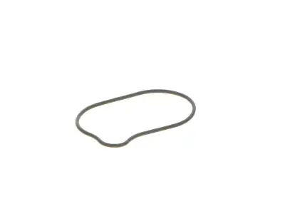 BOSCH 2440210028 O-Ring - 15. Görsel