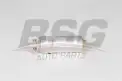 BSG 15830011 Benzin Pompası