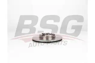 BSG 40210017 Fren Diski Ön