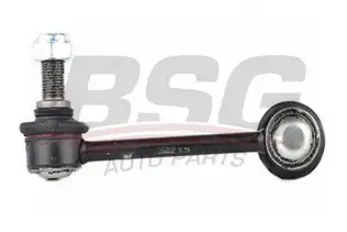 BSG 40310076 Viraj Askı Rotu Arka Sağ