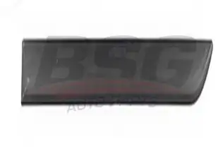 BSG 65925048 Kapı Bandı Arka Sol