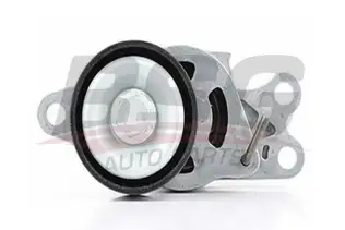 BSG 70615015 V Kayış Gergi Rulmanı