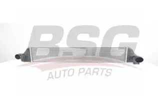 BSG 75535011 Turbo Radyatörü