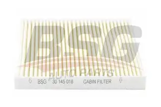 BSG 30145018 Polen Filtresi
