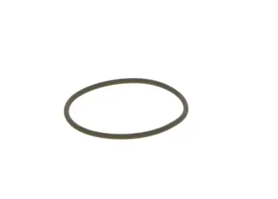 BOSCH F00N201306 O-Ring - 24. Görsel