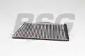 BSG 60145025 Polen Filtresi