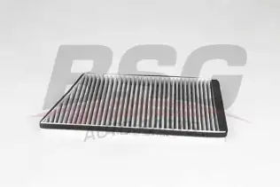 BSG 60145025 Polen Filtresi