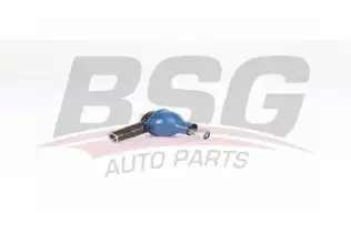 BSG 65310083 Rot Başı Ön