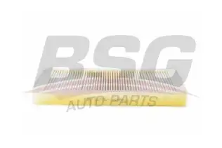 BSG 15145016 Polen Filtresi